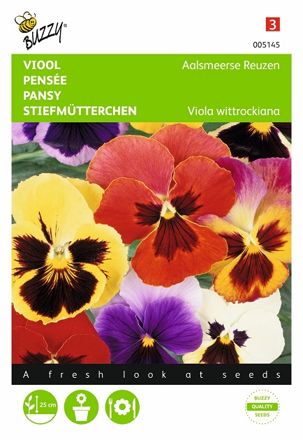 Stiefmütterchen Schweizer Riesen Mischung für ca 20 Pflanzen Samen Saatgut Blume