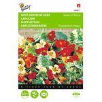Kapuzinerkresse gartensaatgut