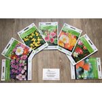 Blumensamen Pack "mittel'