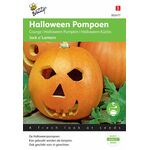 Helloween Kürbis Samen
