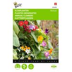 Blumensamenmischung aus verschiedenen einjährigen Kletterpflanzen