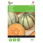 Cantaloupe Melone samen