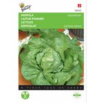 Kopfsalat Samen Gärtnerstolz