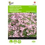 Vergißmeinnicht blumensamen Victoria Rose