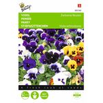 stiefmütterchen blumensamen