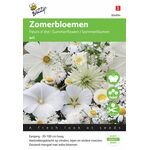 Sommerblumen samen Weiss