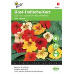 Kapuzinerkresse blumensamen