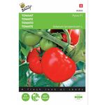 Tomate samen Pyros F1 Hybrid