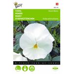 blumensamen der weißen stiefmütterchen
