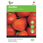 Erdbeeren Grandian F1