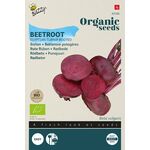 Bio Rote Rüben Ägyptische plattrunde