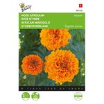 Studentenblume 'Hawaii'