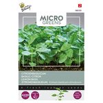 Microgreens Zitronenbasilikum