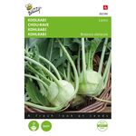 Kohlrabi Lanro, Weiß