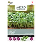 Microgreens Grünkohl