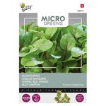 Microgreens Blut-Ampfer