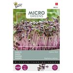 Microgreens Radies Daikon Rot