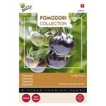 Pomodori Tomaat Indigo Rose