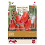 Pomodori Tomate Super Roma VF