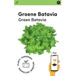 Makkelijke Moestuin Groene Pluksla Batavia Caravel