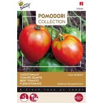 Pomodori Fleischtomate Cuor Di Bue