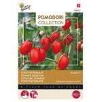 Pomodori Cocktailtomate Ravello F1