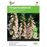 Fingerhut blumensaatgut