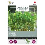 Microgreens Markerbsen