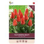 Tulpenzwiebeln 'Orriental Beauty'