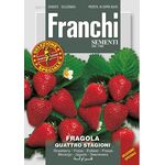 Aardbei Zaden 'Fragola Quattro Stagioni'