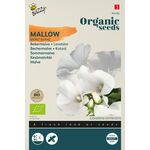 Biologische Bakermalva Zaden 'Mont Blanc'
