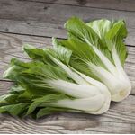 Bio-Saatgut Pak Choi 'Bopak F1'