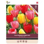 Tulpenzwiebeln 'Darwin Mischung' 25st.