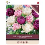 Tulpenzwiebeln 'Double Lavender Blend' 20st