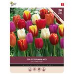 Tulpenzwiebeln 'Triumph Mix' 20st.