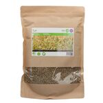 Gründüngung Roggen Samen1kg