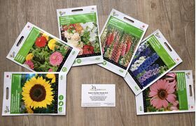 Blumensamen Pack high