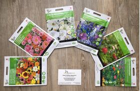 Blumensamen Pack Megamix