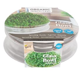 Growkit Bio-Sprossen Glasschüssel