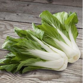 Bio-Saatgut Pak Choi 'Bopak F1'