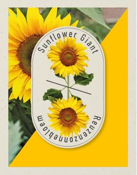 Weggeef Zaadzakje Zonnebloemen