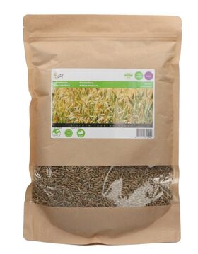 Gründüngung Roggen Samen1kg