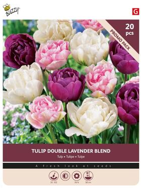 Tulpenzwiebeln 'Double Lavender Blend' 20st