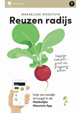 Quadratmeter garten samen Radies Riesenbutter