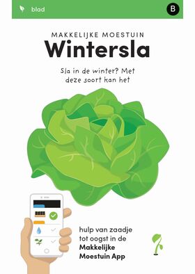 Quadratmetergarten Winter salat