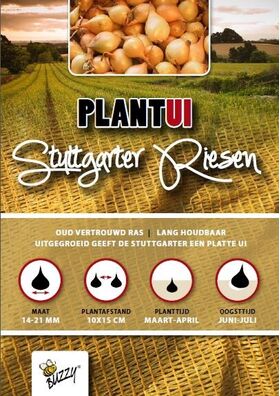 Plantuien Stuttgarter Riesen 500gr