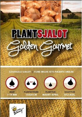 Plantsjalotten 'Golden Gourmet' 500gr
