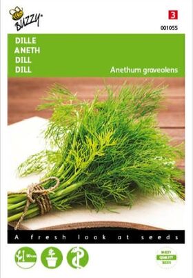 Dill