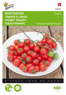 Kirschtomate Cerise