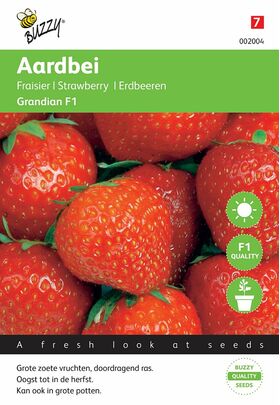 Erdbeeren Grandian F1